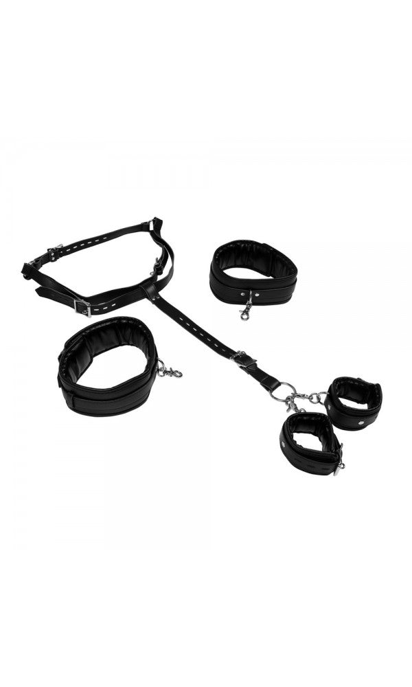 Body Harness with High and Hand Cuffs