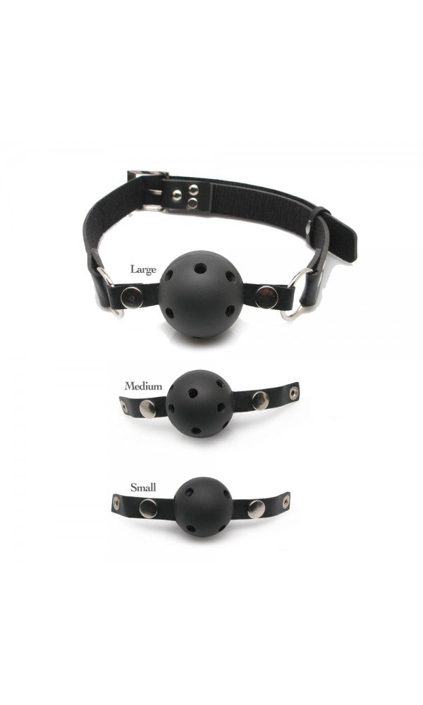 Fetish Fantasy Series Ball Gag Training System