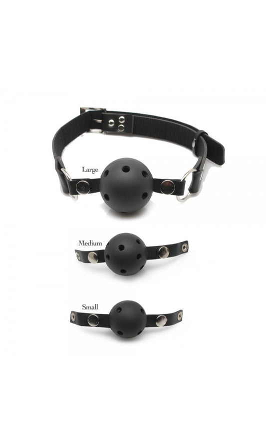 Fetish Fantasy Series Ball Gag Training System