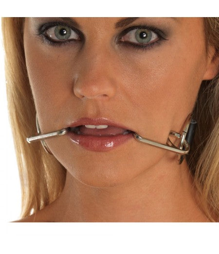 Gag With Smile Hooks